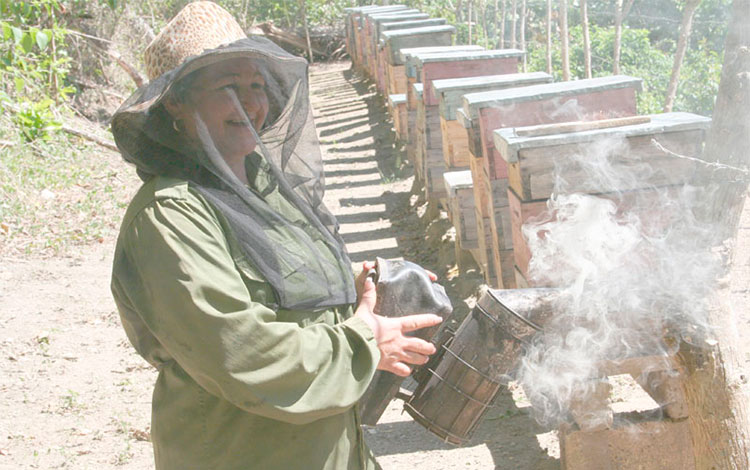 Yamilé Mesa emplea el ahumador.