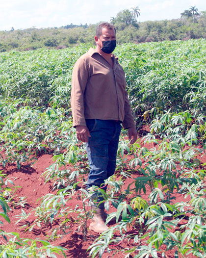 José Andrés Concepción Rodrí­guez, productor de la finca La Papaya, en Caibarién.