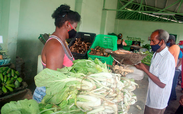 Mercado agropecuario en Villa Clara.