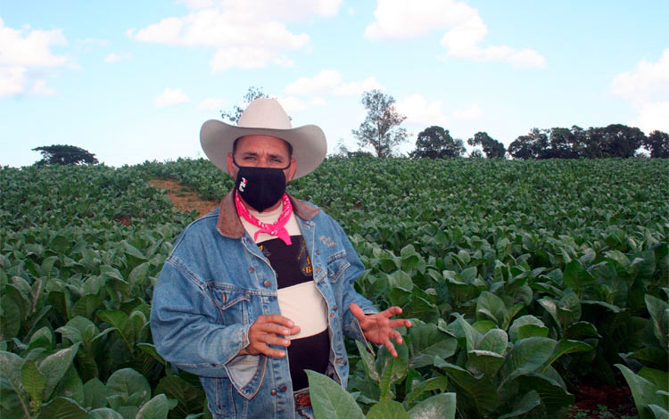 Alecnay Alfonso Díaz, campesino asociado a la Cooperativa de Créditos y Servicios (CCS) Mártires de Manicaragua.