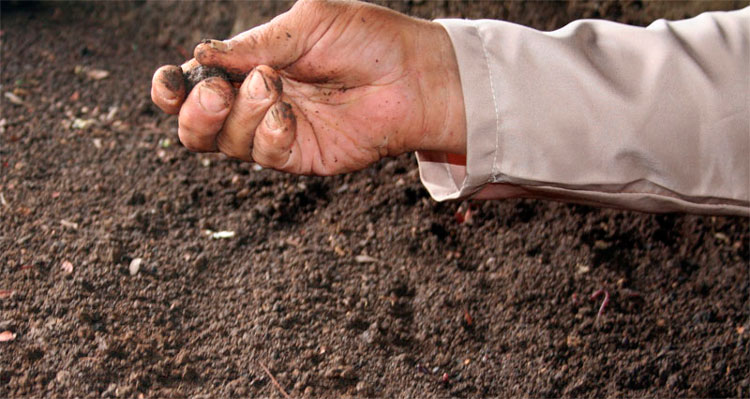 Producción de abono orgánico con compost.