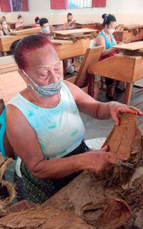 Andrea Contreras Hurtado, un ejemplo de laboriosidad y constancia. (Foto: Dayani Gil Moreno)