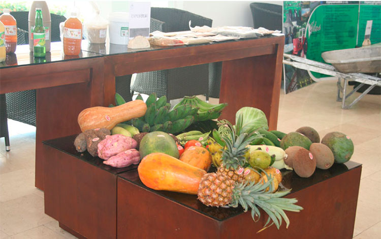 Frutas y vegetales destinados al Turismo.