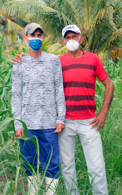 Francisco, y su hijo Frank Alejandro, campesinos de Caibarién, empeñados en el fomento del cultivo de coco y programas vianderos. (Foto: Luis Machado Ordetx)