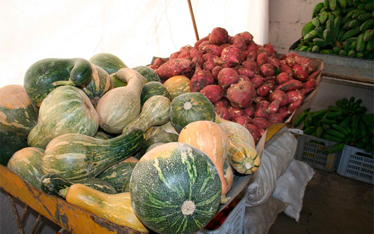 La variedad y volumen de ofertas de calidad son fundamentales para descender los excesivos precios de venta de alimentos. (Foto: Luis Machado Ordetx)