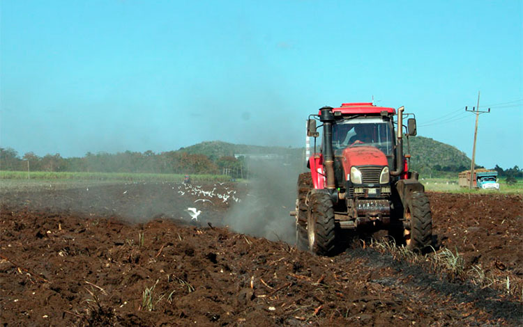 Preparación de tierras en áreas cañeras.