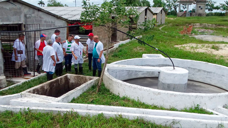 Funcionamiento de biodigestores.