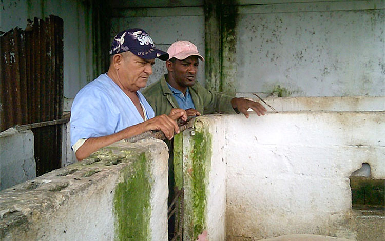 Oscar Rodrí­guez, administrador de la granja XV Aniversario.