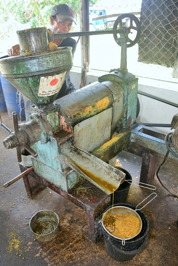 Producción de aceite de soya en la finca de Santiago Cuéllar.