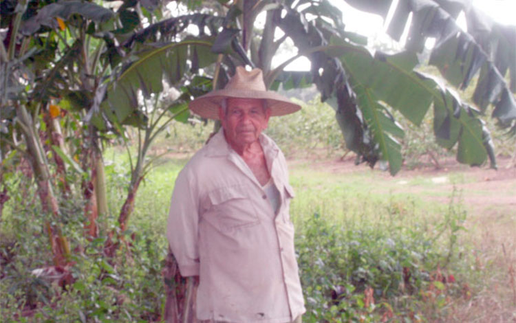 Juan de Dios Hidalgo Padrón, productor agrícola.