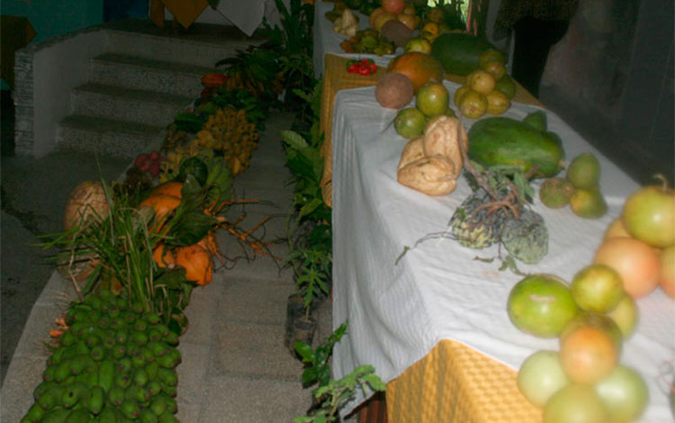 Muestra de productos agroecológicos producidos en fincas de Villa Clara.