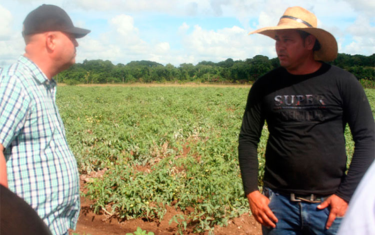 Primer secretario del PCC en Villa Clara recorre polo productivo agropecuario de Santo Domingo.