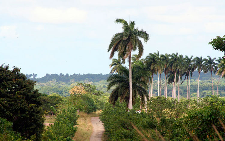 Zona de la loma de Santa Fe, en Camajuaní. Zona de la loma de Santa Fe, en Camajuaní.