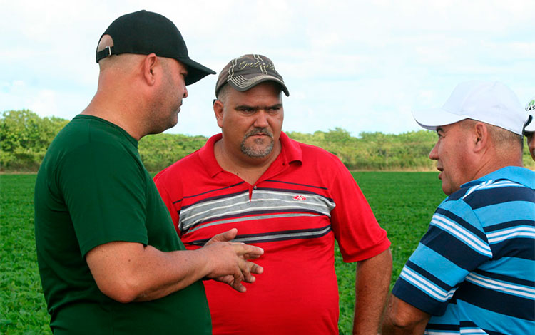 Directivos de la Agricultura en diálogo con el primer secretario del PCC en Villa Clara, Osnay Miguel Colina Rodríguez. Directivos de la Agricultura en diálogo con el primer secretario del PCC en Villa Clara, Osnay Miguel Colina Rodríguez.