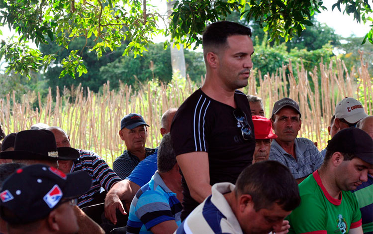 Yusdany Rojas Pérez, productor porcino, de cultivos varios y tabaco.