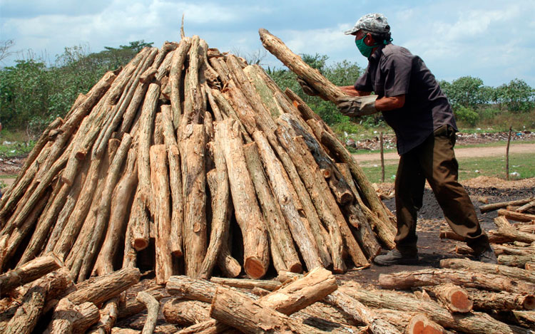 El carbón, una alternativa económica frente al empleo de combustibles fósiles. (Foto: Luis Machado Ordetx)