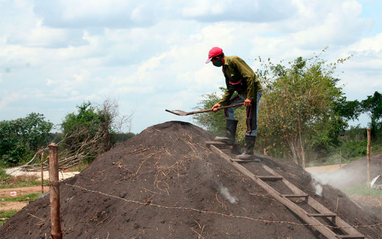 Lejos del monte espeso, y cerca de la lí­nea del Ferrocarril Central, otro de los sitios de fabricación de carbón vegetal. (Foto: Luis Machado Ordetx)