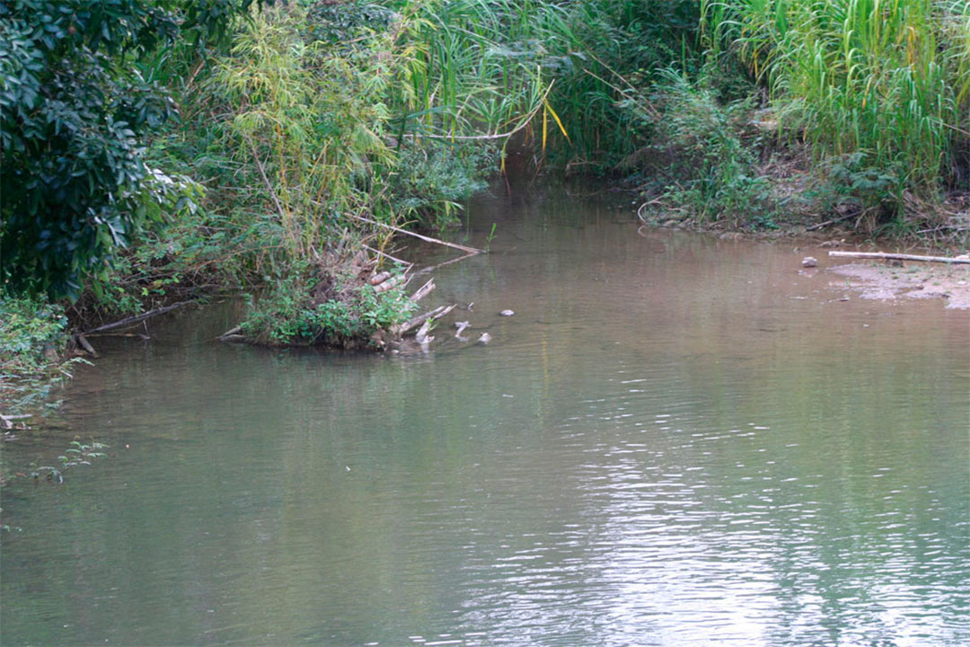 Río San Pedro Ferrán, en Corralillo.