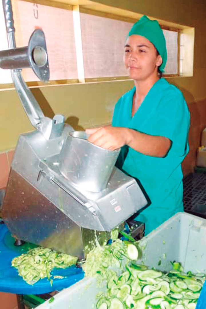 Procesamiento de vegetales en la minindustria Cubanacán.