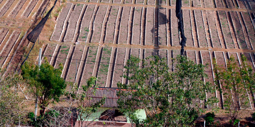 Cámaras vacías en el organopónico La Riviera, de Santa Clara.