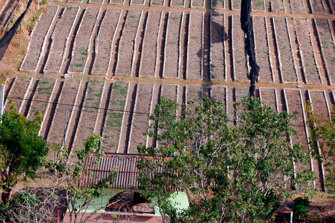 Cámaras vacías en el organopónico La Riviera, de Santa Clara.