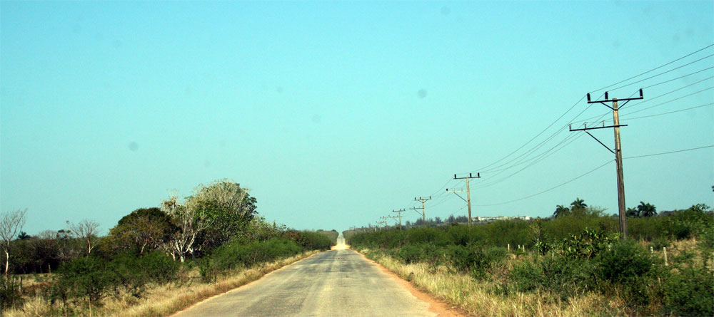 Contención del marabú en los campos de Villa Clara