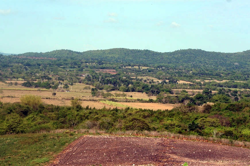 Suelos fértiles en Camajuaní