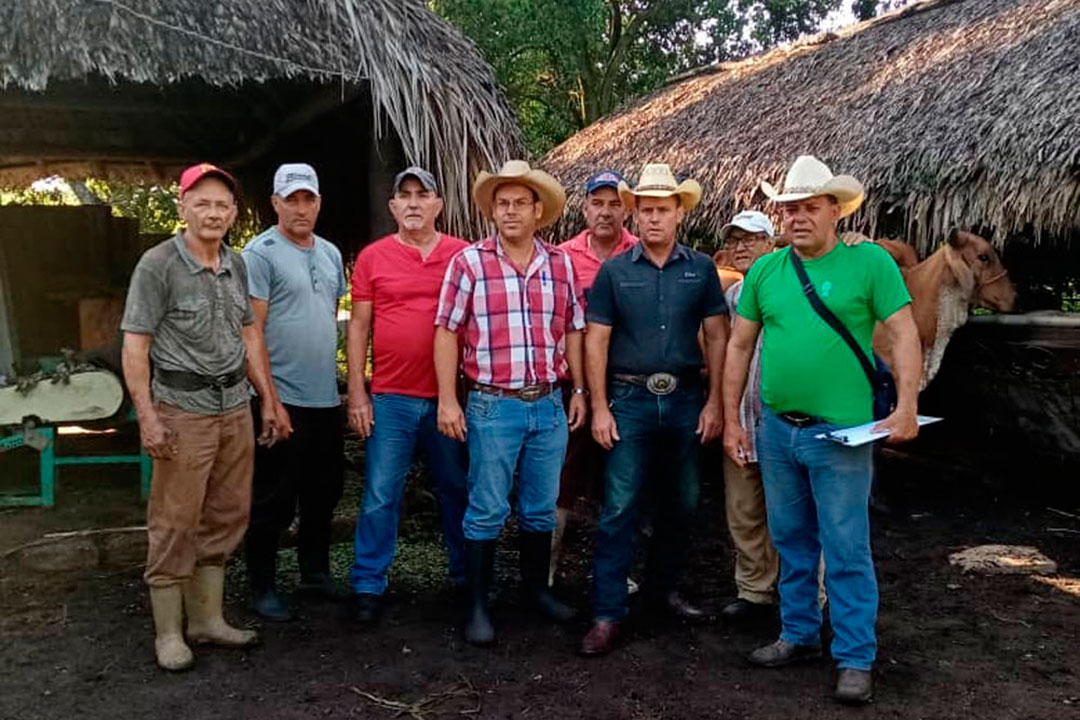 Especialistas veterinarios y ganaderos villaclareños.