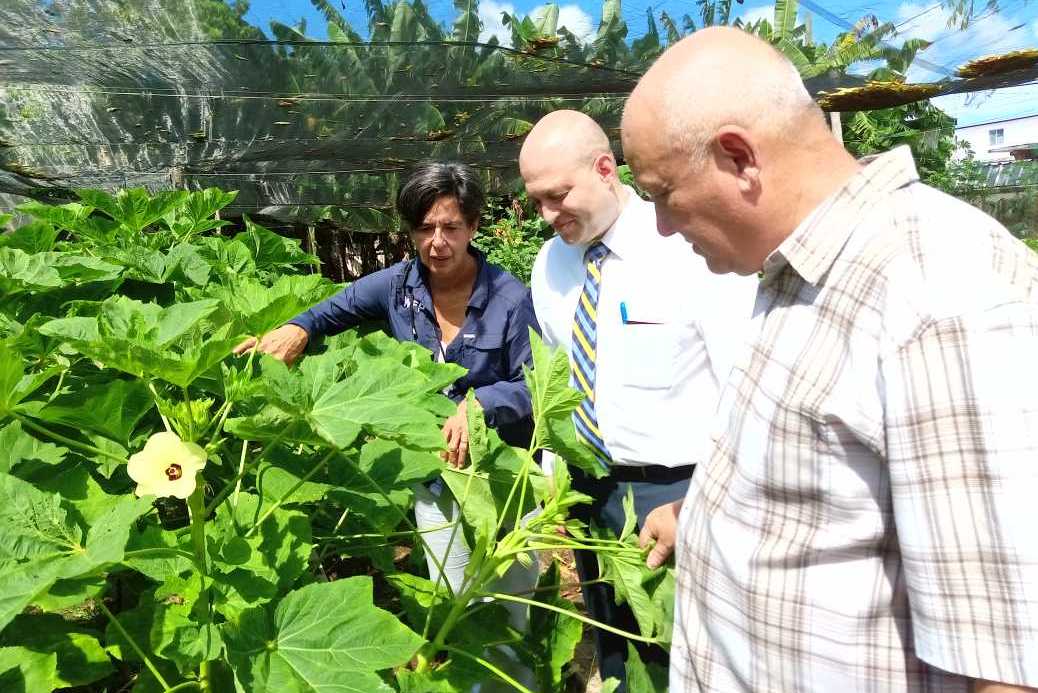 La iniciativa posibilita el acceso de la población a alimentos frescos, según se constató en la visita realizada por el vice primer ministro cubano, Jorge Luis Tapia Fonseca junto a la directora regional del PMA, María Dolores Castro. (Foto:  Roxana Soto del Sol)