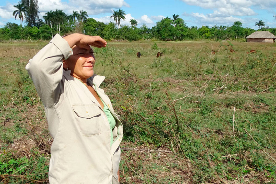 Mujer campesina en campo de Villa Clara.