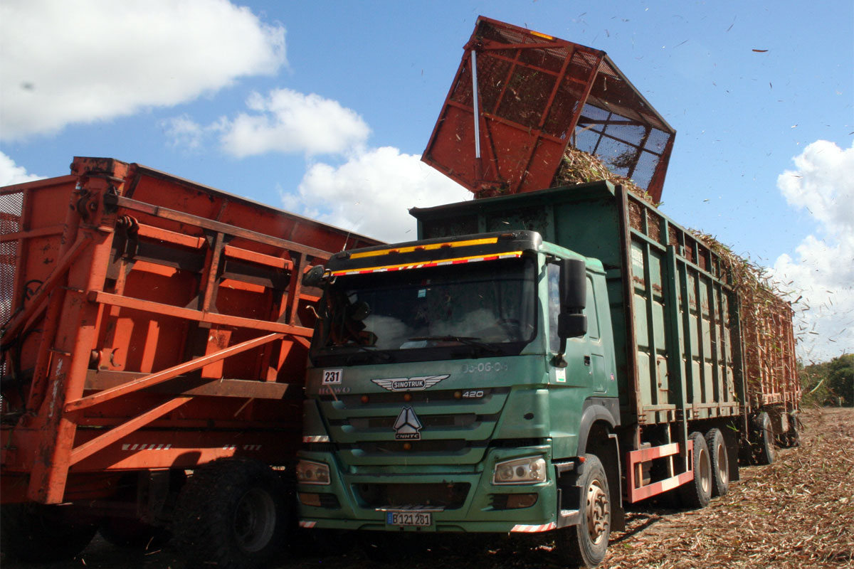 Sistematizar los envíos de materia prima a la industria será decisivo para sostener ritmos de eficiencia fabril. (Foto: Luis Machado Ordetx)