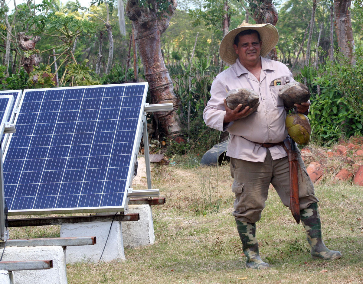 Campesino Rolando Pérez González, entre los mayores productores de coco de la provincia de Villa Clara.