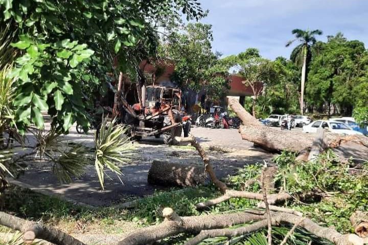 Vanguardia - Villa Clara - Cuba