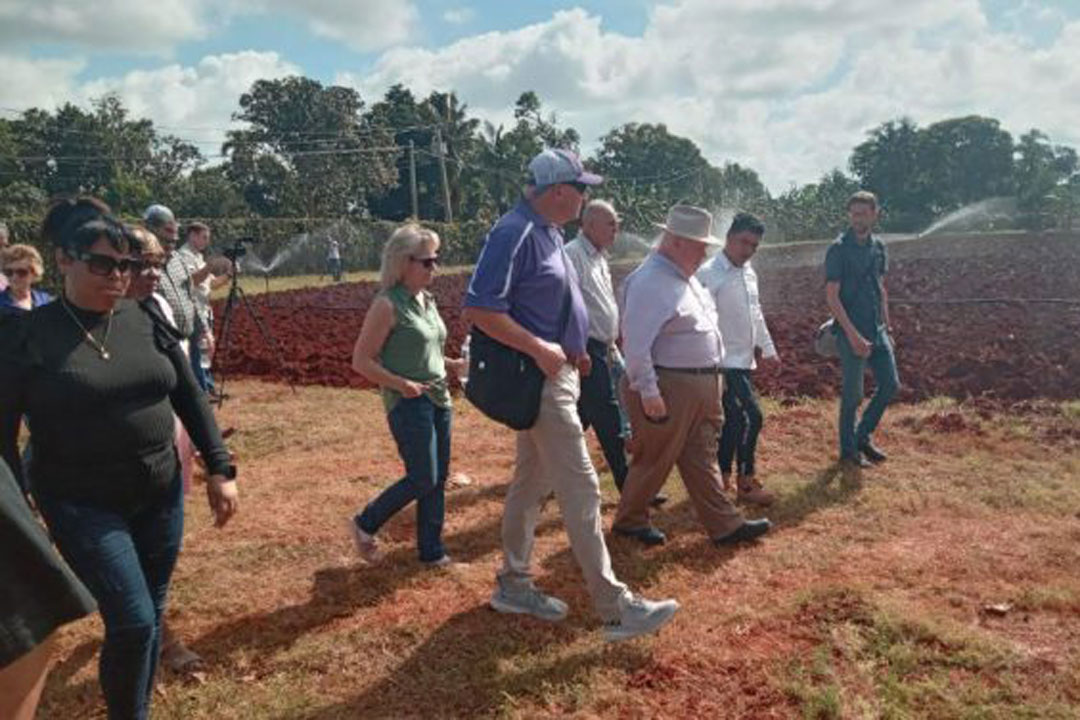 Cubanos y estadounidenses recorrido