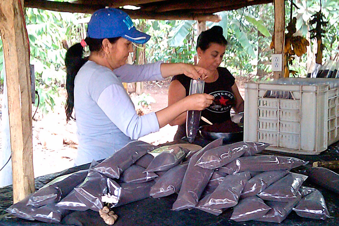 Proceso de envasado del café.