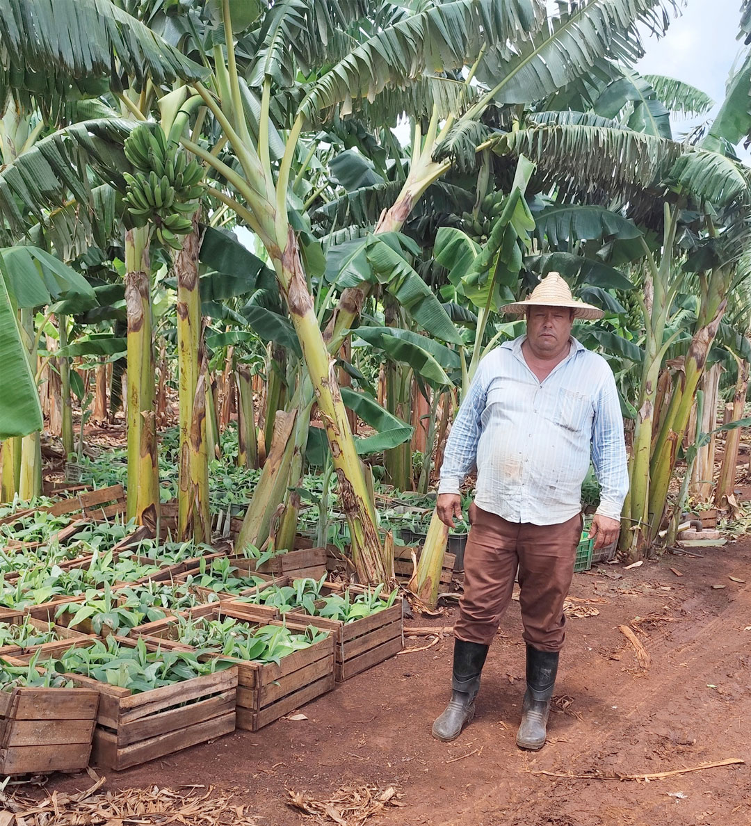 Osmany Hernández Carmenate, usufructuario de tierras.