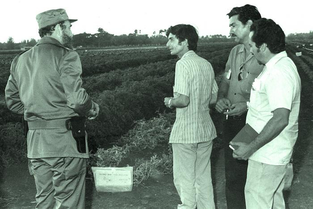 Vanguardia - Villa Clara - Cuba