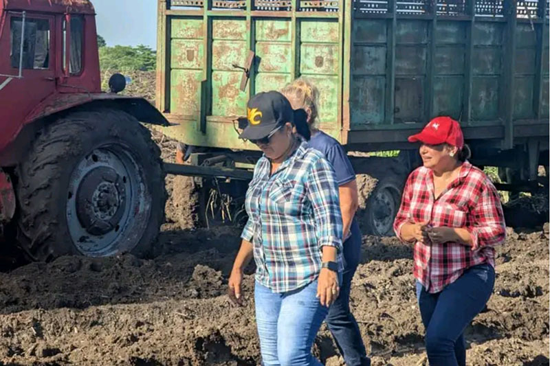 Primera secretaria del PCC y la gobernadora participan en el trabajo voluntario.