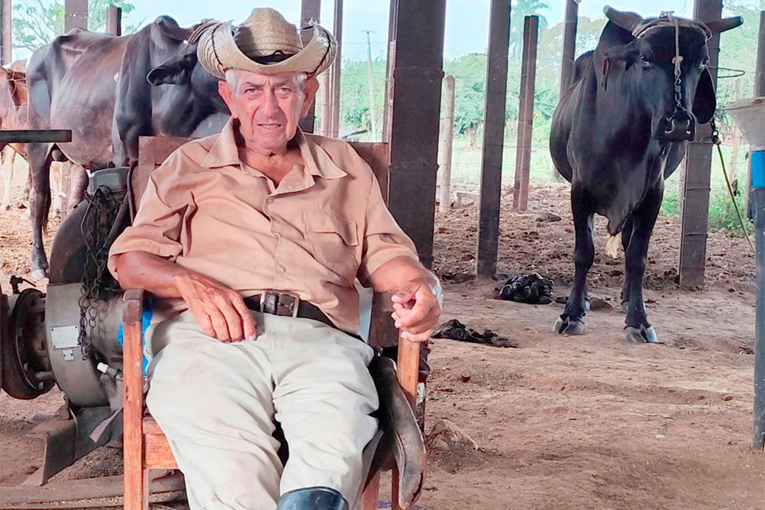 Omar (Carreta) Jiménez, adiestrador de yuntas de bueyes.