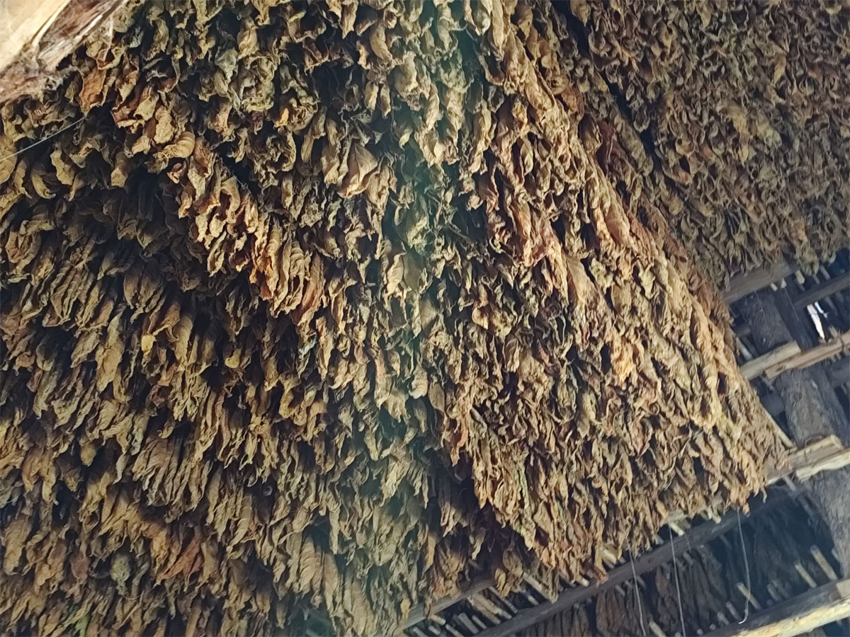 Vanguardia - Villa Clara - Cuba