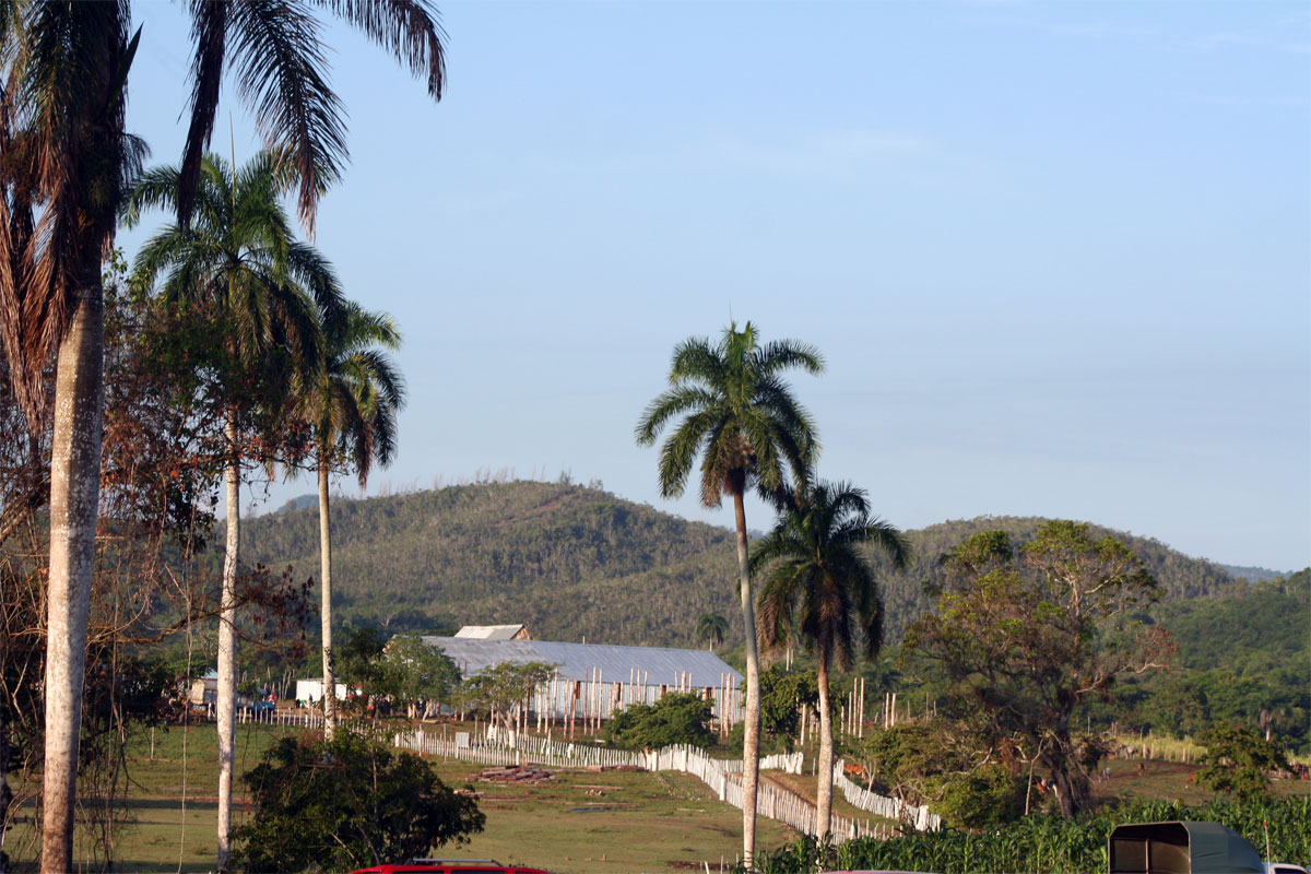 Antesala del área de beneficio del tabaco.