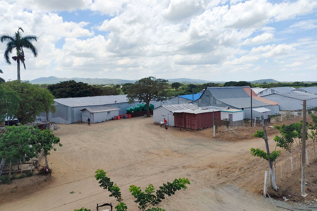 Casas de cura controlada