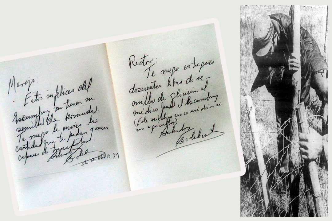 Fidel en labores ganaderas, y notas sobre ganadería.