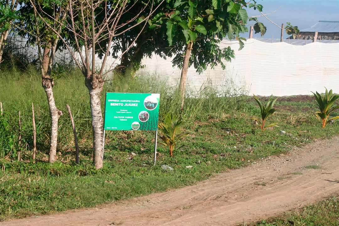 Finca Renacer.