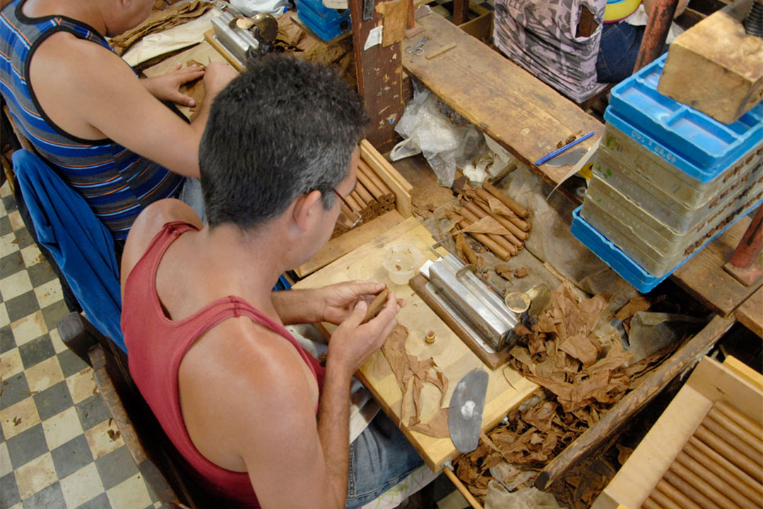 Proceso de torcido de tabaco.