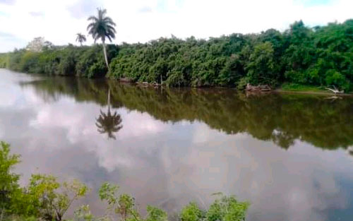 En El Santo se mantiene una permanente vigilancia sobre el río Sagua la Chica, corriente fluvial causante de las inundaciones que históricamente tienen lugar en esa comunidad.(Foto: Reinaldo Cañizares Mesa) En El Santo se mantiene una permanente vigilancia sobre el río Sagua la Chica, corriente fluvial causante de las inundaciones que históricamente tienen lugar en esa comunidad.(Foto: Reinaldo Cañizares Mesa)