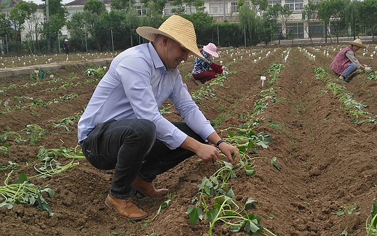 Alfredo Morales Rodríguez, investigador del Inivit, especializado en el cultivo del bonitato.