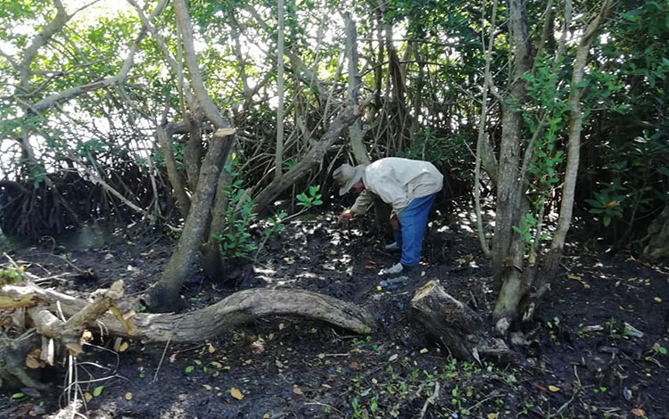 Programa de resilencia costera en Caibarién, Villa Clara.