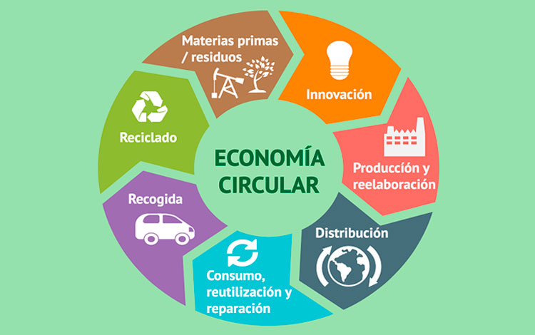 Etapas incluidas en el proceso de economía circular.