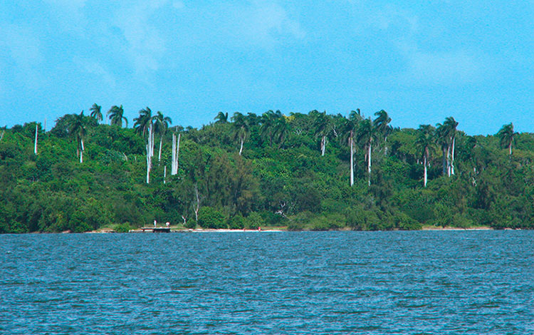 Cayo Fragoso, en Villa Clara.